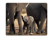 Animal Wildlife Elephant Baby Pack Tusk Africa Mouse Pad 10 x 11