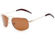 Sunglass Warehouse Bern 4289 Gold Frame with Amber Lenses Unisex Aviator Sunglasses
