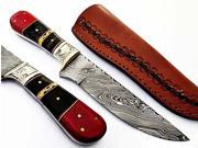 Stone Wall Hunting Knife Damascus Steel Blade Horn Wood Handle