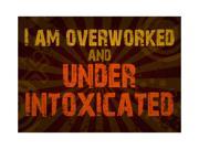 I Am Overworked And Under Intoxicated Print Large 12 x 18 Fun Drinking Humor Bar Wall Decoration Sign