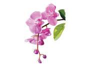 Watercolor Orchids Floral Artwork Wall Decor Signs Plastic Large Size, 12x18 Watercolor Orchids Floral Artwork Wall Decor Signs Plastic Large Size, 12x18
