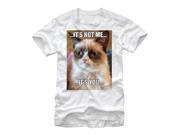 Grumpy Cat It s Not Me Mens Graphic T Shirt
