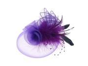 Fashion Women s Flower Feather Mesh Net Fascinator Beaded Cocktail Headwear with Hair Clip and Brooch Purple