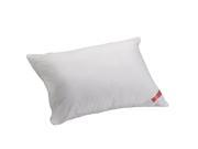 Aller Ease Hot Water Washable Allergy Pillow Queen Medium