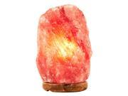 Himalayan Salt Lamp Natural Crystal Rock Shape Dimmer Switch Night Light 2 3kgs