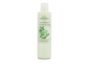 Caswell Massey Cucumber Elderflower Foaming Bath Shower Cream 240ml 8oz
