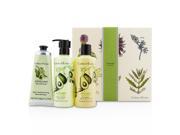 Crabtree Evelyn Avocado Olive Basil Essentials Set Bath Shower Gel 250ml Body Lotion 250ml Hand Therapy 100g 3pcs