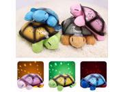 CT toys Hot selling Turtle led Night Light with 4 Musics Stars projector for baby Lamp toy With music Christmas birthday gift