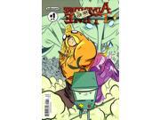 Adventure Time The Flip Side 1A VF NM