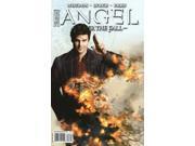 Angel After the Fall 16A VF NM ; IDW