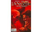 Angel After the Fall 11B VF NM ; IDW