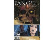 Angel Only Human 4 VF NM ; IDW
