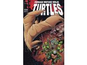 Teenage Mutant Ninja Turtles 3rd Series