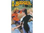 Badger Vol. 3 6 VF NM ; Image Comics
