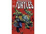 Teenage Mutant Ninja Turtles 3rd Series