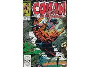 Conan the Barbarian 213 VF NM ; Marvel