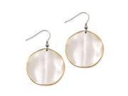 Stainless Steel Yellow IP plated Edge Disc Matte Dangle Earrings