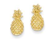 14k Yellow Gold Polished Textured Pineapple Post Earrings