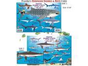 Franko Maps Hawaiian Shark and Ray Fish ID for Scuba Divers and Snorkelers