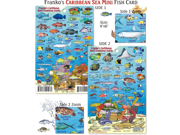 Franko Maps Mini Caribbean Reef Creatures Fish ID for Scuba Divers and Snorkelers