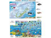 Franko Maps Bermuda Fish ID for Scuba Divers and Snorkelers