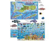 Franko Maps Cayman Islands Reef Creatures Fish ID