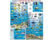 Franko Maps Egyptian Red Reef Creatures Guide for Scuba Divers and Snorkelers
