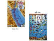 Franko Maps Egyptian Red Sea Fish ID for Scuba Divers and Snorkelers