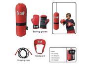 Amber Deluxe Boxing Toy Set