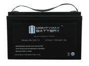 12V 100Ah SLA AGM Compatible Battery for APC SILCON SL30KGB2 12V 100Ah SLA AGM Compatible Battery for APC SILCON SL30KGB2