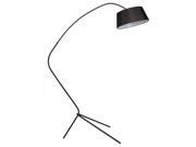 Euro Style Collection Nice 71 Inches Metal Body Floor Lamp