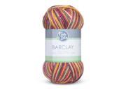 Fair Isle Barclay Multi Color Yarn Spices