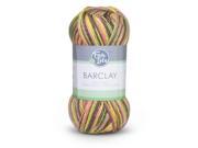 Fair Isle Barclay Multi Color Yarn Neo