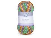 Fair Isle Sutton Multi Color Bulky Chunky Yarn Gummi Bear