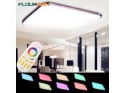 48W RGB Color LED Ceiling Light Flush Mount Lighting 3000LM with Wireless Remote Control for Living Room Kitchen