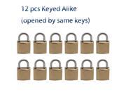 12 Iron locks in Golden plated Keyed Alike all open by same one key small padlock 8009x12