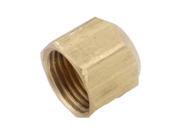 Anderson 754040-06 Tube Cap, 3/8 in, Flared, Brass Anderson 754040-06 Tube Cap, 3/8 in, Flared, Brass