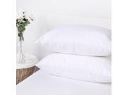Dreamaker 2X Polypropylene Stain Water Resistant Pillow Protector Queen Size Zippered Pillowcase Cover 20 x 30