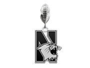 Northwestern Wildcats Football Dangle Charm