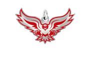 Hartford Hawks Color Logo Charm