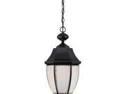 Quoizel Newbury LED Large Hanging Lantern in Mystic Black