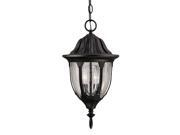 Savoy House Tudor Hanging Lantern in Textured Black - 5-1502-BK Savoy House Tudor Hanging Lantern in Textured Black - 5-1502-BK