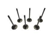 Intake Valve Set For Land Cruiser Toyota 4.5L 1FZFE DOHC #13711-66020-12 Intake Valve Set For Land Cruiser Toyota 4.5L 1FZFE DOHC #13711-66020-12
