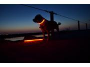 GlowCity Light Up LED Dog Night Safety Collar GlowCity Light Up LED Dog Night Safety Collar