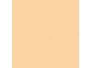 Rosco #3442 Filter - 1/2 Straw CTS - 24 Rosco #3442 Filter - 1/2 Straw CTS - 24