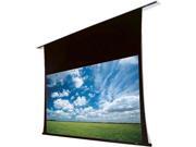 Draper 140019FJU Access/Series V 87 x 116 Draper 140019FJU Access/Series V 87 x 116