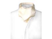 UPC 029741000094 product image for Antonio Ricci ASCOT Solid CREAM Ribbed Pattern Color Cravat Men's Neck Tie | upcitemdb.com