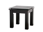 Plateau SL TE 19 x 19 End Table with Black Glass Black Satin