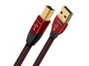 AudioQuest Cinnamon A to B USB Cable 5 meters