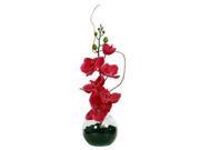 Vickerman 335567 18 Hot Pink Orchid in Glass Bowl w Soil F12182 Home Office Floral Arrangements